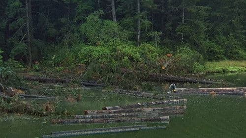 Sie möchten Giganten sein Bild 5