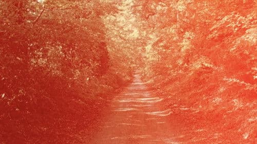 Quattro Strade Bild 3