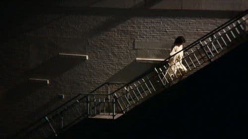 Jackals & Fireflies Bild 2