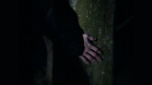 The Present Green Bild 4