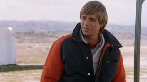 El ataque de los pájaros Bild 5