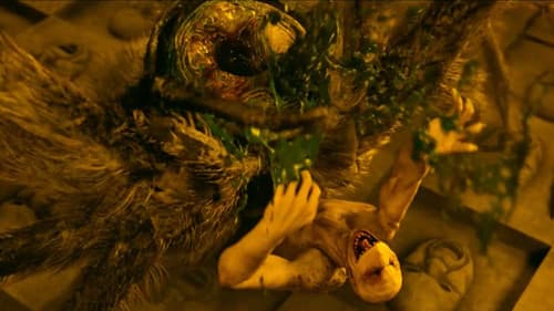 黄金蜘蛛城 Bild 7