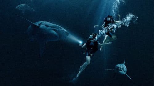 47 Meters Down Bild 3