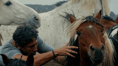 Fillos do vento: A Rapa Bild 1