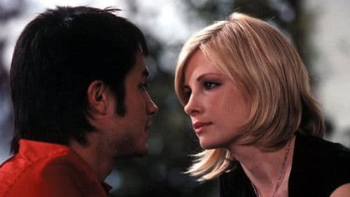 Alle lieben Lucy Bild 5