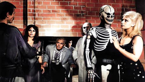 Kilink İstanbul'da Bild 2