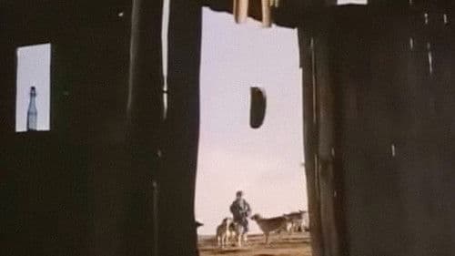 Разговор с птици Bild 1