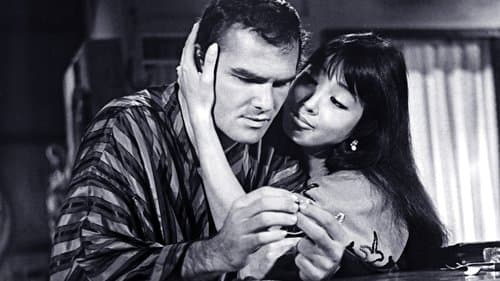 Auf der Jagd nach dem verlorenen Gold Bild 1