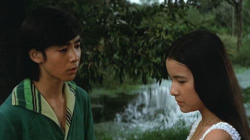 恋は緑の風の中 Bild 3