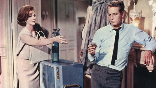 Süßer Vogel Jugend Bild 2