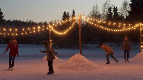 Weihnachten im Zaubereulenwald Bild 4