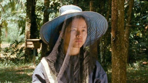 กระบี่, 2562 Bild 1