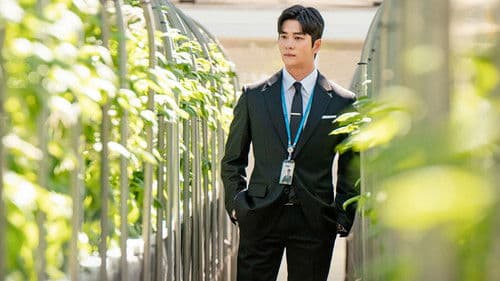 감자연구소 Bild 2