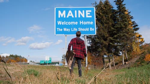 The Second Bird Bild 1