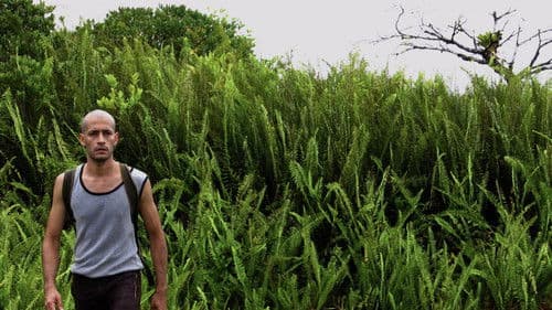 El vuelco del cangrejo Bild 2