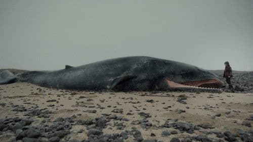 Im Tal  der Wale Bild 1