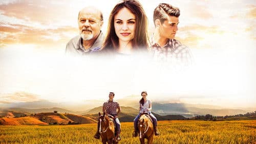 Wo dein Schatz ist, da ist auch dein Herz Bild 1