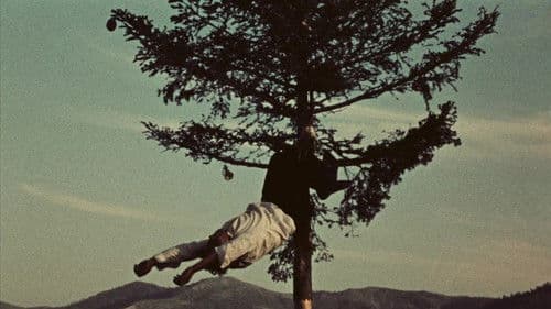 I dimenticati Bild 2