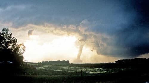 Tödliche Naturgewalten Bild 4