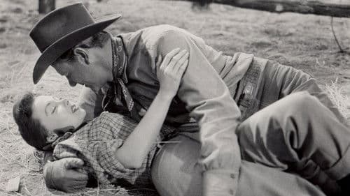 Der blaue Mustang Bild 1