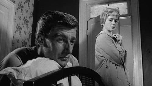 Ruf nicht zu laut Bild 2