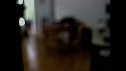 memory consolidation 02 Bild 1