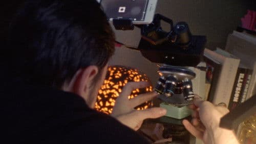 Visão do Paraíso Bild 1