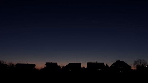 Hymn from the Hive Bild 3