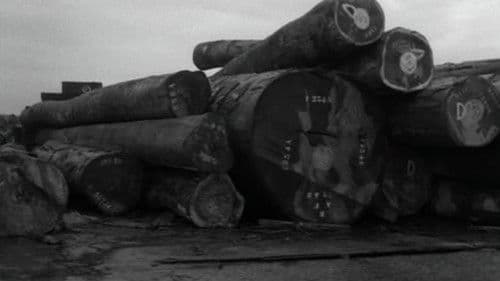 Aurélia Steiner (Vancouver) Bild 2