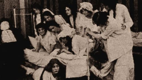 The Hungarian Nabob Bild 1