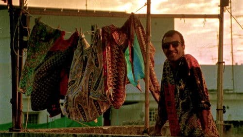 מצב החסה Bild 4