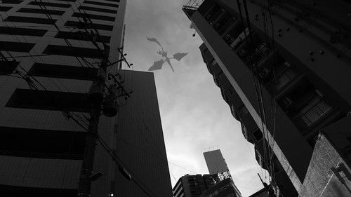 ８日で死んだ怪獣の１２日の物語 －劇場版－ Bild 3