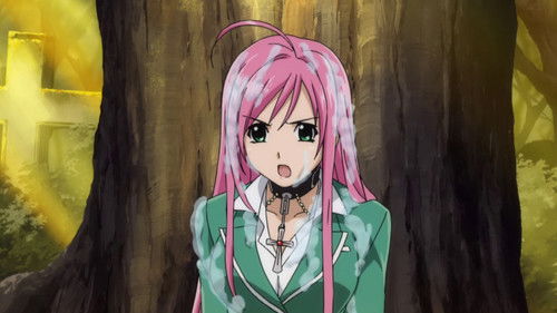 Rosario + Vampire Bild 8