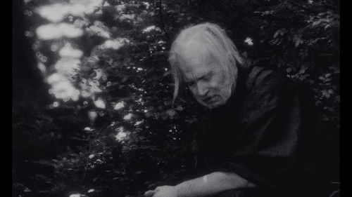 Passenger Jet Bild 1