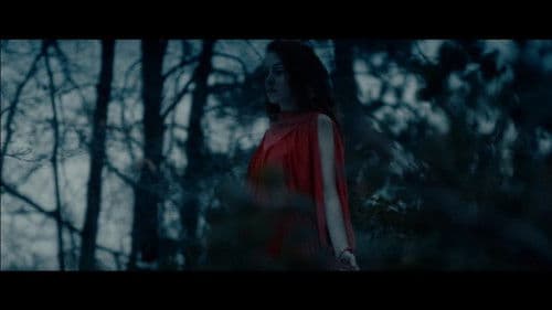 Into the Night Bild 6