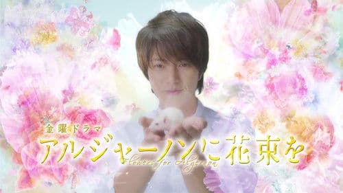 アルジャーノンに花束を Bild 1