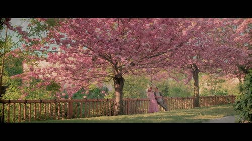 Birlikte Öleceğiz Bild 5