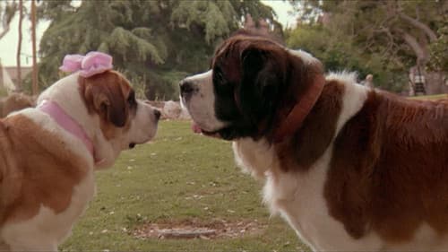 Eine Familie namens Beethoven Bild 4