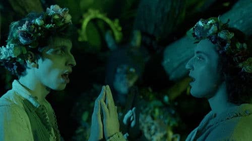 O Bosque dos Sonâmbulos Bild 2