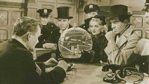 No Time to Marry Bild 1