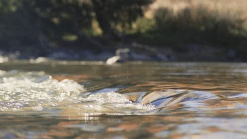 Stumbling Home Bild 5