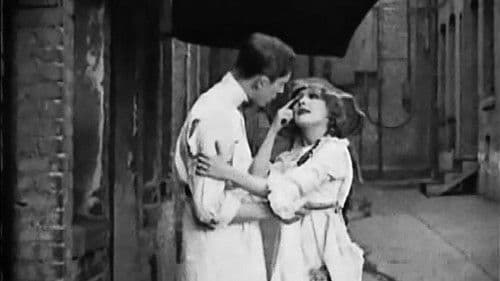 Amarilly of Clothes-Line Alley Bild 1