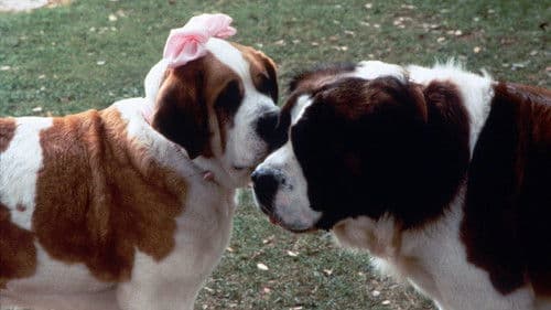 Eine Familie namens Beethoven Bild 6