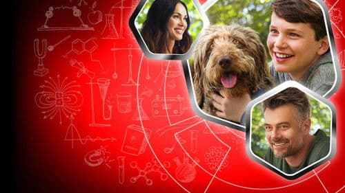 Denke wie ein Hund Bild 5