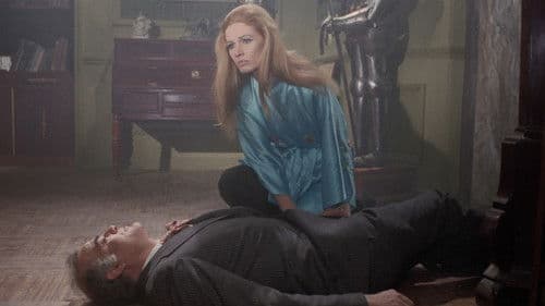 Das Haus im Nebel Bild 3