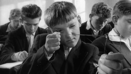 Das schielende Glück Bild 3