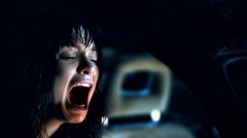 Lemon Tree Passage Bild 1