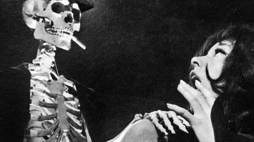 İstanbul Dehşet İçinde Bild 1