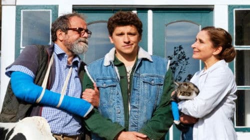 Viele Kühe und ein schwarzes Schaf Bild 1