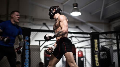 The Notorious Bild 3